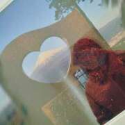 ヒメ日記 2026/02/12 08:47 投稿 みき 人妻本舗愛のしずく名古屋店