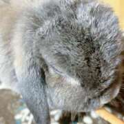 ヒメ日記 2026/02/12 21:15 投稿 みき 人妻本舗愛のしずく名古屋店