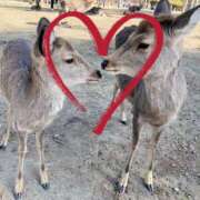 ヒメ日記 2026/02/15 14:30 投稿 みき 人妻本舗愛のしずく名古屋店