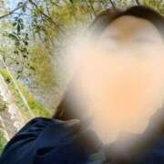 ヒメ日記 2026/02/17 11:30 投稿 みき 人妻本舗愛のしずく名古屋店