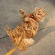 ヒメ日記 2026/02/22 08:45 投稿 みき 人妻本舗愛のしずく名古屋店