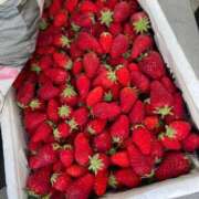 ヒメ日記 2026/02/27 20:16 投稿 みき 人妻本舗愛のしずく名古屋店