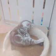 ヒメ日記 2026/03/01 22:30 投稿 みき 人妻本舗愛のしずく名古屋店