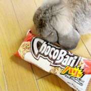 ヒメ日記 2026/03/08 21:30 投稿 みき 人妻本舗愛のしずく名古屋店