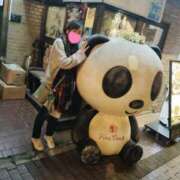 ヒメ日記 2026/03/23 12:03 投稿 みき 人妻本舗愛のしずく名古屋店