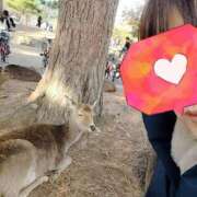 ヒメ日記 2026/03/23 20:15 投稿 みき 人妻本舗愛のしずく名古屋店
