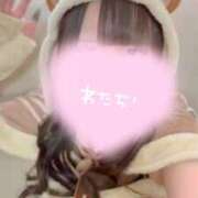 ヒメ日記 2025/12/25 12:20 投稿 ぴぃち ピンクコレクションBabyキタ兎我野店