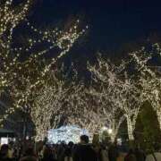 ヒメ日記 2025/12/30 17:20 投稿 れもん ピンクコレクションBabyキタ兎我野店