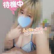 ヒメ日記 2025/12/22 16:18 投稿 なつ ぽっちゃり巨乳素人専門店ぷにめろ西船橋店