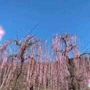 すずな 2月もありがとう❤️❤️ 池袋角海老