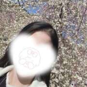 ヒメ日記 2026/03/07 11:13 投稿 すずな 池袋角海老