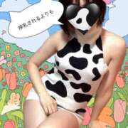 ヒメ日記 2026/01/18 09:00 投稿 青山　みこ YOKOHAMA FIVESTAR（横浜ファイブスター）