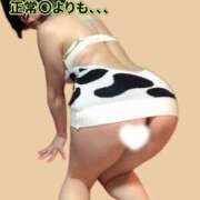 ヒメ日記 2026/02/17 06:00 投稿 青山　みこ YOKOHAMA FIVESTAR（横浜ファイブスター）