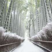 ヒメ日記 2026/01/19 14:38 投稿 雅りょうか お姉さんLABO -艶-