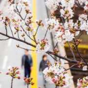 ヒメ日記 2026/03/07 18:48 投稿 雅りょうか お姉さんLABO -艶-