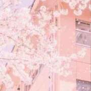 ヒメ日記 2026/03/23 21:28 投稿 雅りょうか お姉さんLABO -艶-