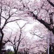 ヒメ日記 2026/04/08 10:08 投稿 雅りょうか お姉さんLABO -艶-