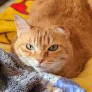 ヒメ日記 2026/01/02 13:10 投稿 荒木鈴那 五十路マダム 岐阜店