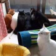 ヒメ日記 2025/12/22 12:46 投稿 まりあ feel＆airi