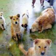 ヒメ日記 2025/12/23 10:46 投稿 まりあ feel＆airi