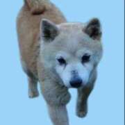 ヒメ日記 2025/12/23 14:06 投稿 まりあ feel＆airi