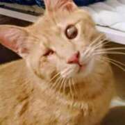 ヒメ日記 2025/12/27 06:46 投稿 まりあ feel＆airi