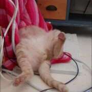 ヒメ日記 2025/12/30 06:36 投稿 まりあ feel＆airi