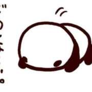 ヒメ日記 2025/12/30 17:56 投稿 まりあ feel＆airi