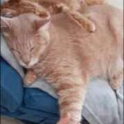 ヒメ日記 2025/12/31 09:16 投稿 まりあ feel＆airi