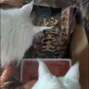 ヒメ日記 2026/01/01 09:16 投稿 まりあ feel＆airi