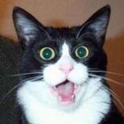 ヒメ日記 2026/01/04 20:26 投稿 まりあ feel＆airi