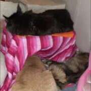 ヒメ日記 2026/01/05 10:36 投稿 まりあ feel＆airi