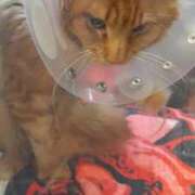 ヒメ日記 2026/01/07 20:16 投稿 まりあ feel＆airi