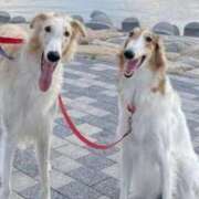 ヒメ日記 2026/01/09 20:16 投稿 まりあ feel＆airi