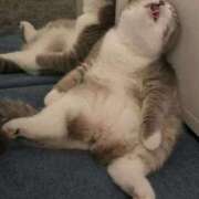 ヒメ日記 2026/01/11 02:56 投稿 まりあ feel＆airi