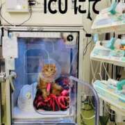 ヒメ日記 2026/01/14 21:16 投稿 まりあ feel＆airi