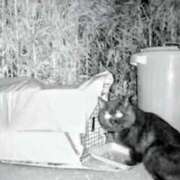 ヒメ日記 2026/01/15 01:56 投稿 まりあ feel＆airi