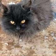 ヒメ日記 2026/01/15 09:56 投稿 まりあ feel＆airi