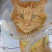 ヒメ日記 2026/01/17 22:56 投稿 まりあ feel＆airi