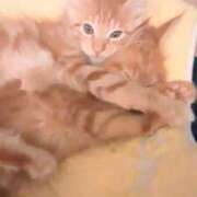 ヒメ日記 2026/01/18 13:16 投稿 まりあ feel＆airi