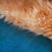 まりあ 2020.11 みのる0才異変② feel＆airi