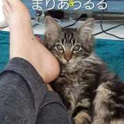 ヒメ日記 2026/01/22 06:16 投稿 まりあ feel＆airi