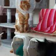 ヒメ日記 2026/01/23 18:46 投稿 まりあ feel＆airi