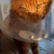 ヒメ日記 2026/01/24 22:16 投稿 まりあ feel＆airi