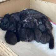 ヒメ日記 2026/01/25 20:36 投稿 まりあ feel＆airi