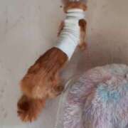 ヒメ日記 2026/01/26 09:39 投稿 まりあ feel＆airi