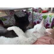 ヒメ日記 2026/01/27 21:16 投稿 まりあ feel＆airi