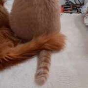 ヒメ日記 2026/01/29 08:06 投稿 まりあ feel＆airi