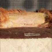 ヒメ日記 2026/01/30 13:16 投稿 まりあ feel＆airi