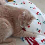 ヒメ日記 2026/01/31 08:06 投稿 まりあ feel＆airi